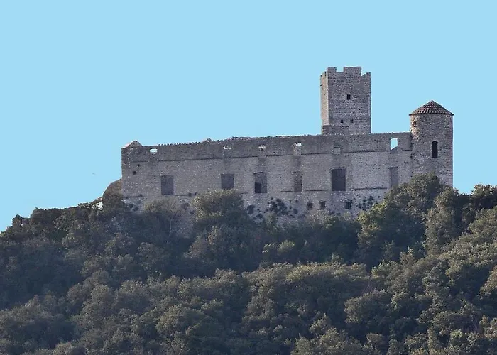 Anduze Les Lauriers Au 