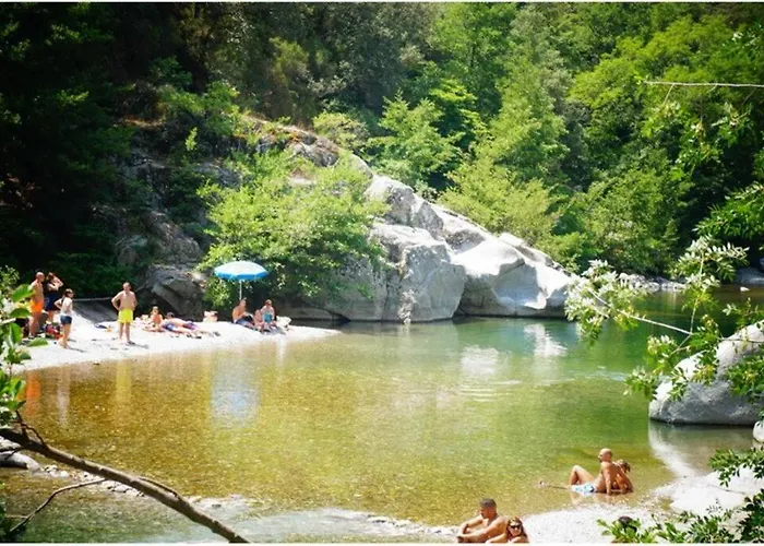 Anduze Les Lauriers Au 